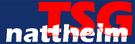 Nattheim Logo