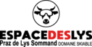 Praz de Lys Sommand Logo
