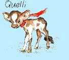 Quellenwiese / Neusiedl Logo