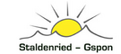 Staldenried - Gspon Logo